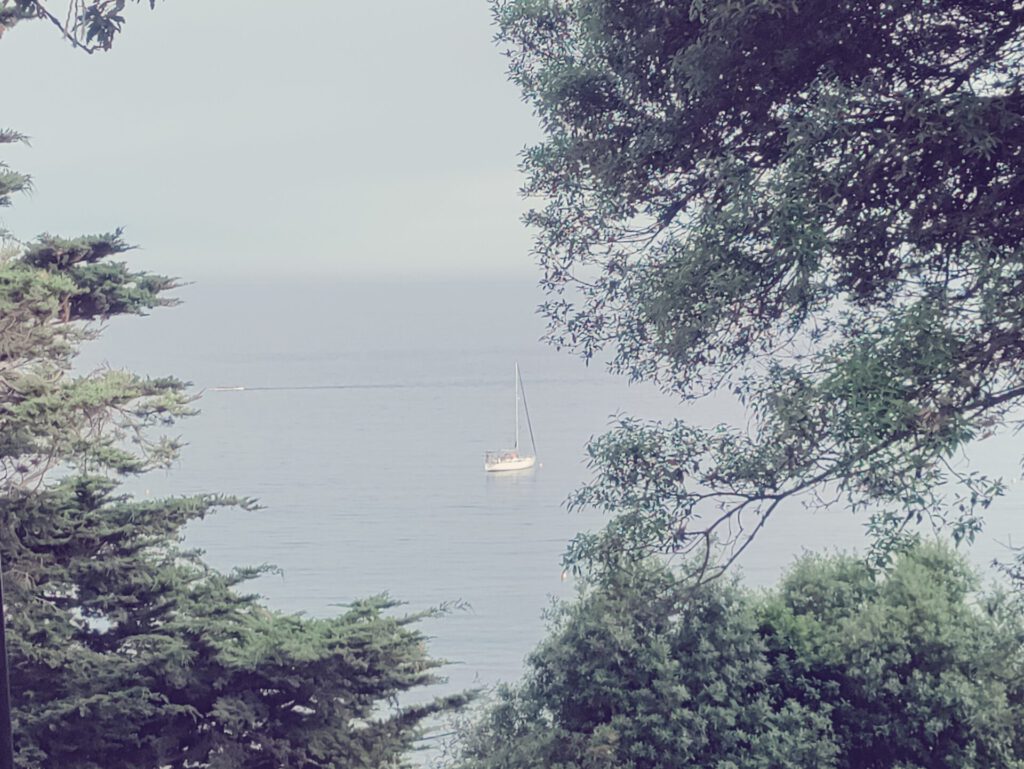 Segelboot an einer Mooring Blick durch Baumgrün